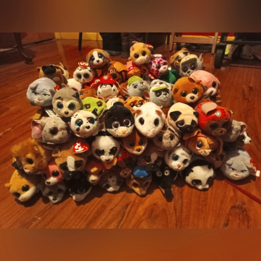 Beanie Babies